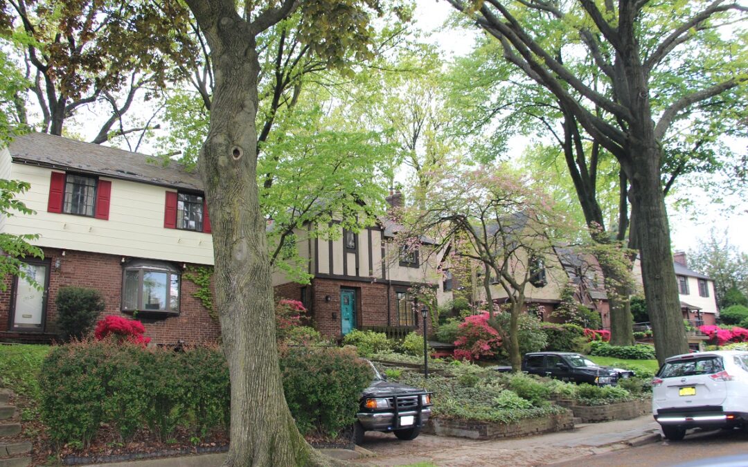 Are Briarwood Homes for Sale in Your Future? The Trends and Lifestyle of This Queens Community