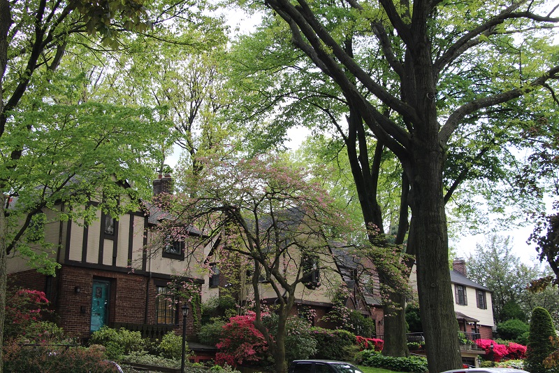 Briarwood Homes for Sale: Four Tips for Buying a Home in 2021