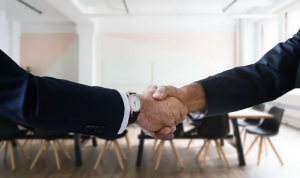 Premium Domain Names: Using a Broker To Seal the Deal