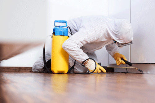 Pest-Control-1