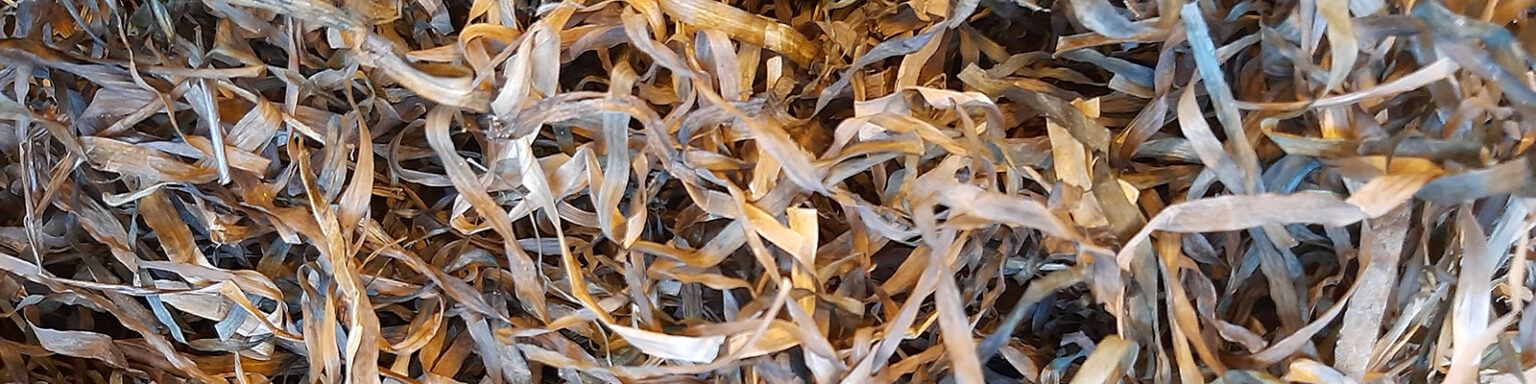 Maistic becomes distributor of Seagrass box filling