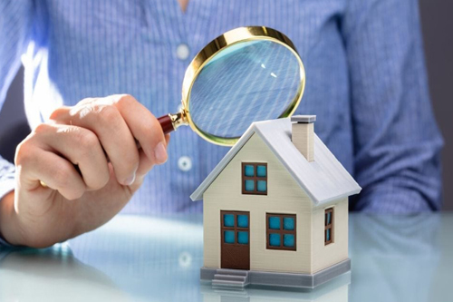 home-inspec