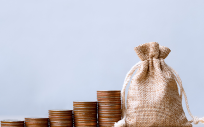 Who Would Benefit from a Stated Income Mortgage?